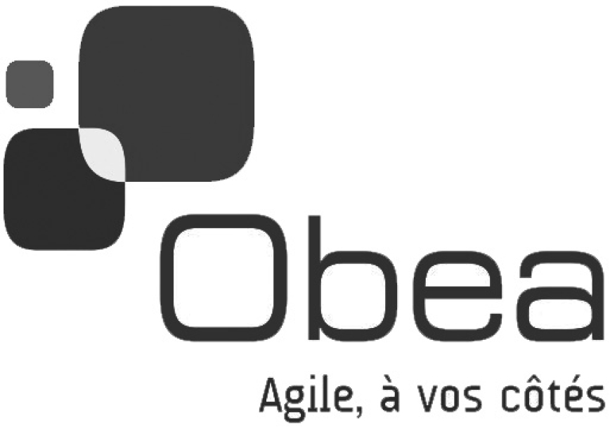 Logo de Obea